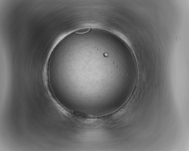 X0000113111056200908281404