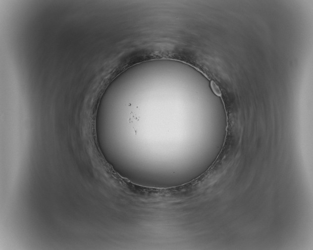 X0000113111057200908281404