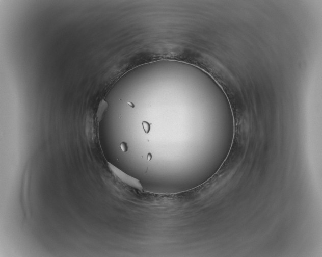 X0000113111058200908281404