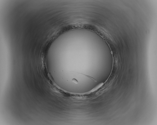 X0000113111060200908281404