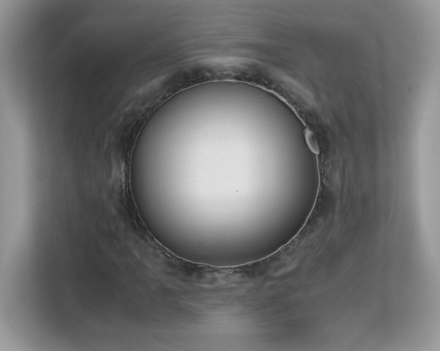 X0000113111061200908281404