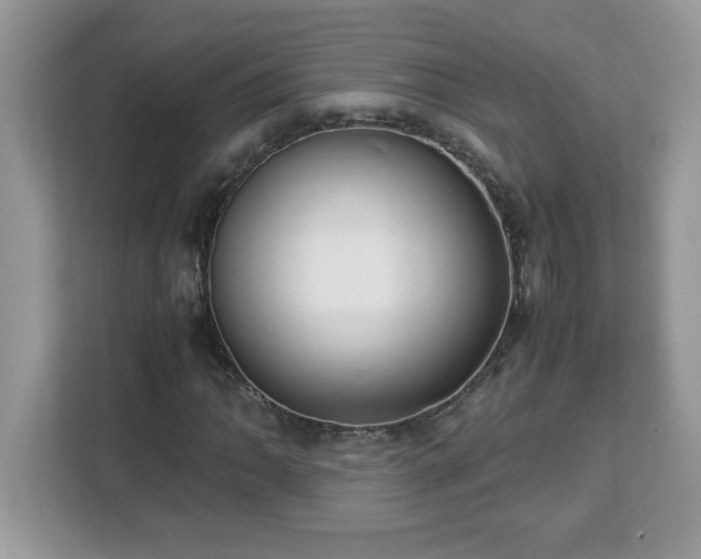 X0000113111062200908281404