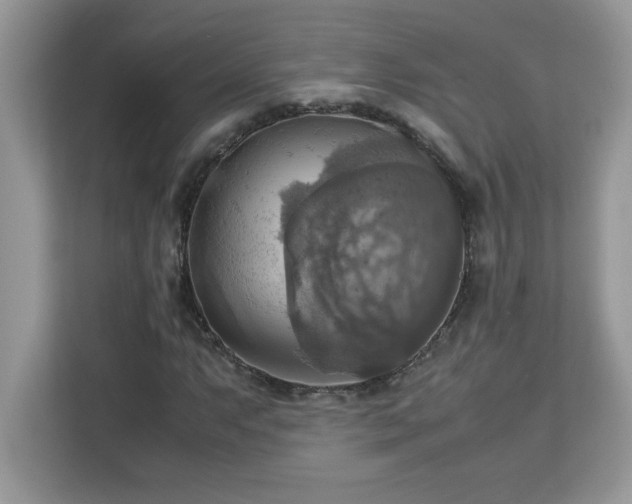 X0000113111063200908281404