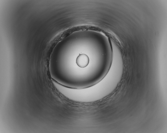 X0000113111064200908281404