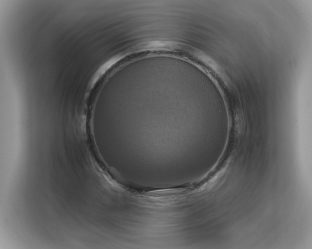 X0000113111066200908281404