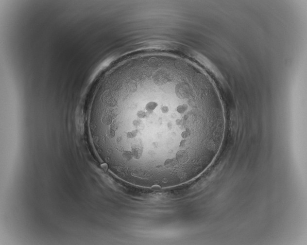 X0000113111067200908281404
