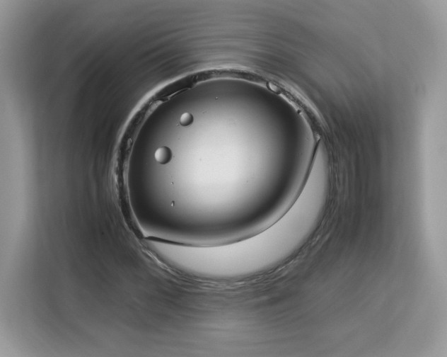 X0000113111068200908281404