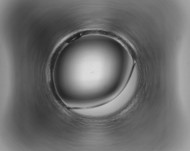 X0000113111069200908281404