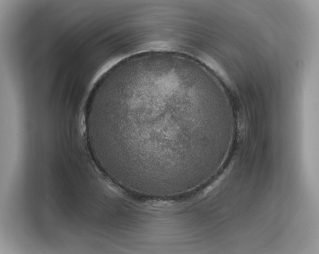 X0000113111070200908281404
