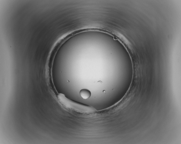 X0000113111072200908281404