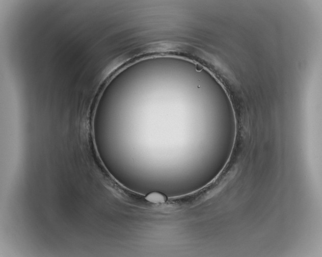 X0000113111073200908281404