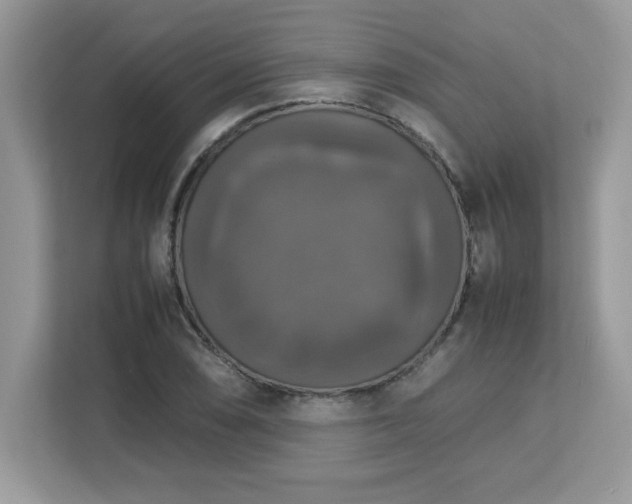 X0000113111074200908281403
