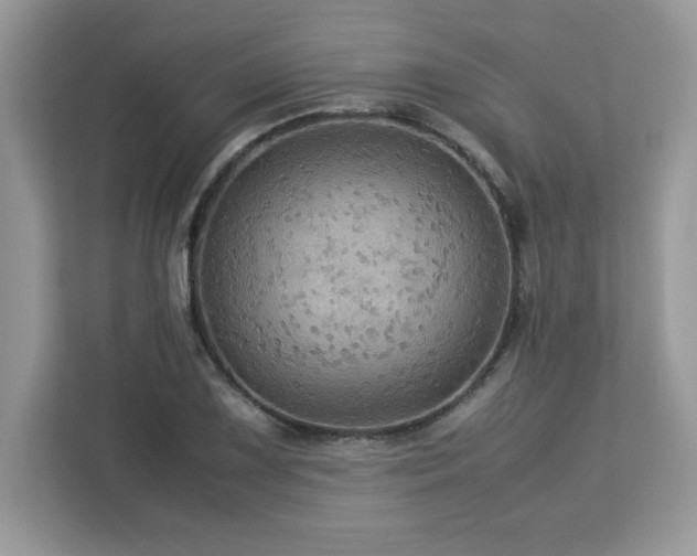 X0000113111075200908281403
