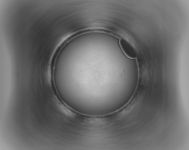 X0000113111076200908281403