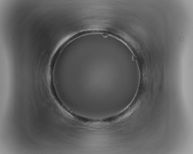 X0000113111077200908281403