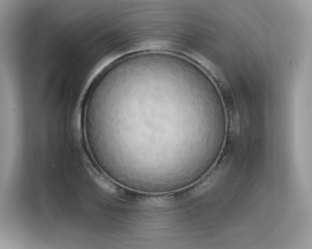 X0000113111078200908281403