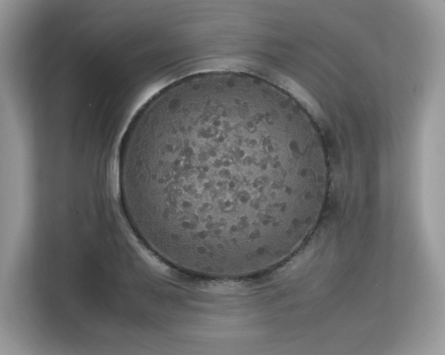X0000113111079200908281403