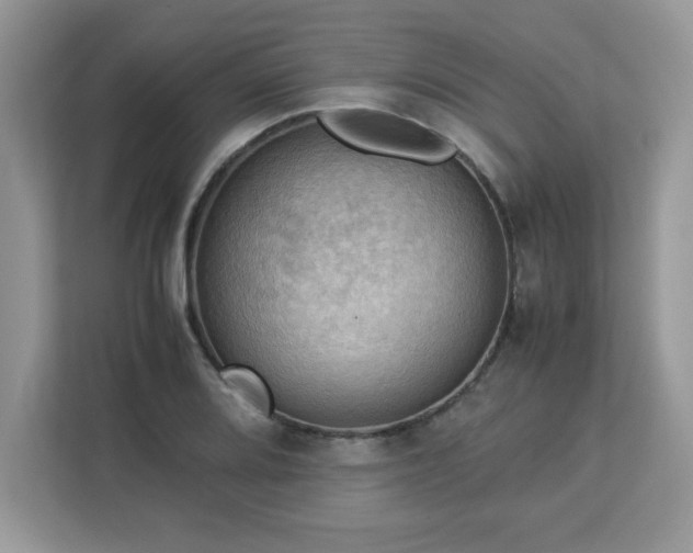 X0000113111080200908281403