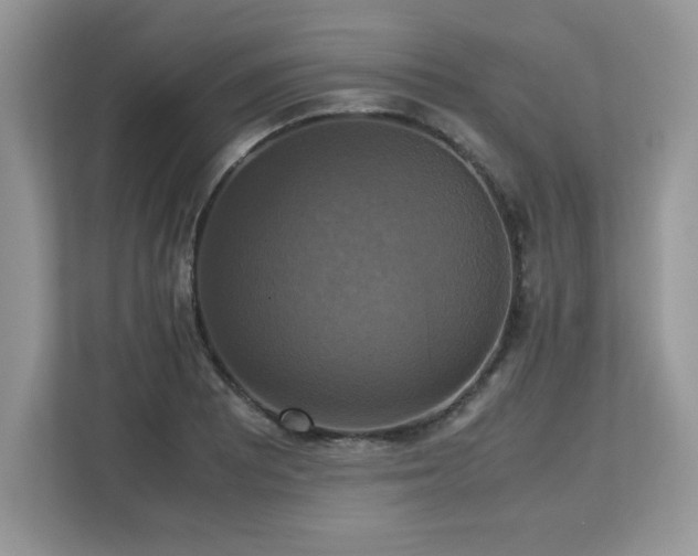 X0000113111081200908281403