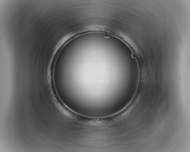 X0000113111082200908281403