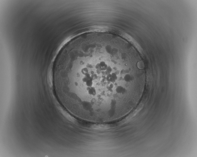X0000113111083200908281403