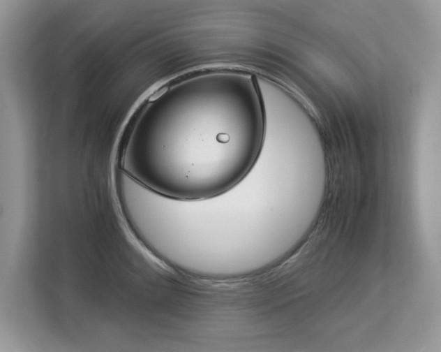 X0000113111084200908281403