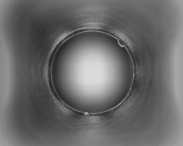 X0000113111085200908281403