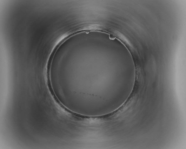 X0000113111087200908281403