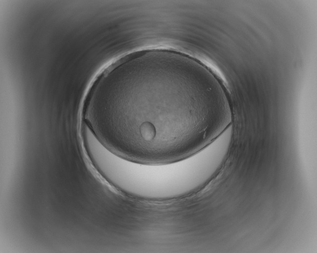X0000113111088200908281403