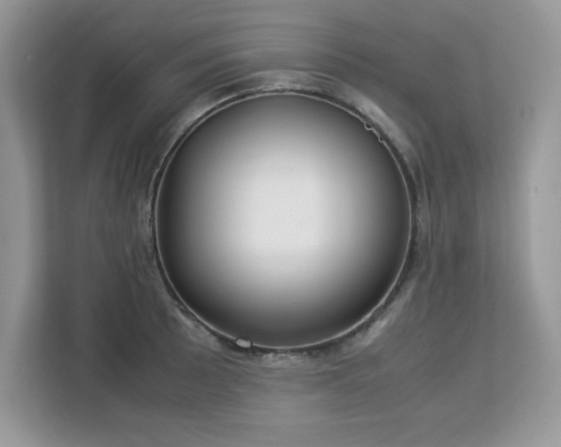 X0000113111089200908281403
