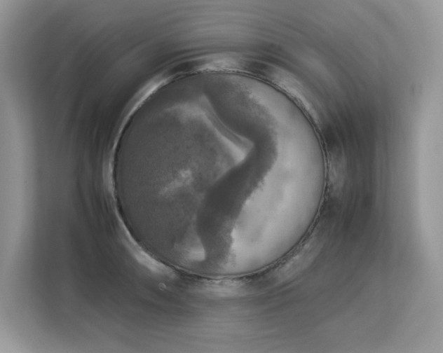 X0000113111090200908281403