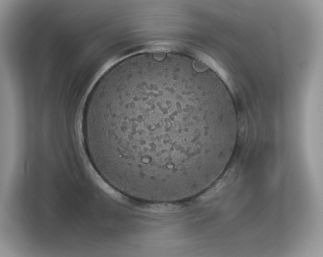 X0000113111091200908281403