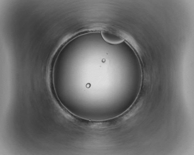 X0000113111093200908281403