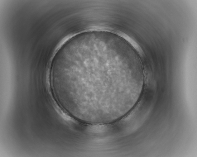 X0000113111094200908281403