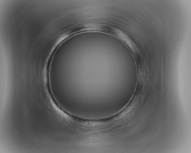 X0000113111095200908281403