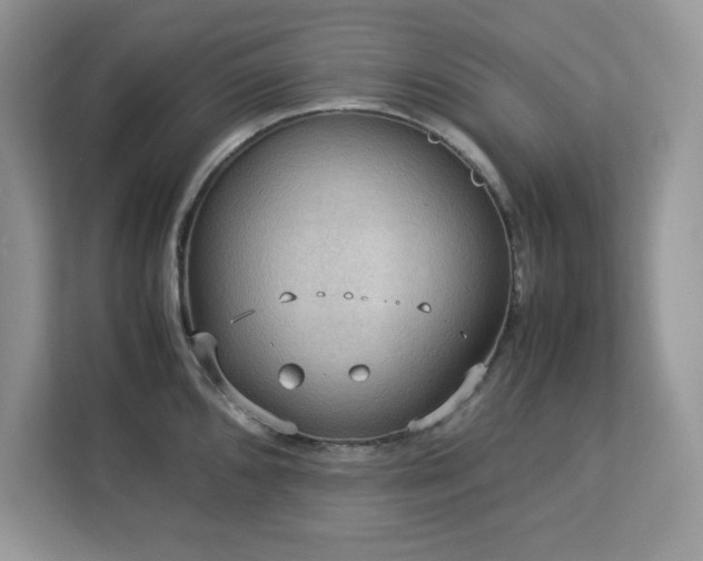 X0000113111096200908281403
