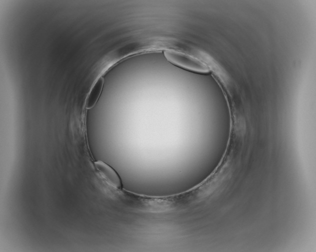 X0000113111097200908281403
