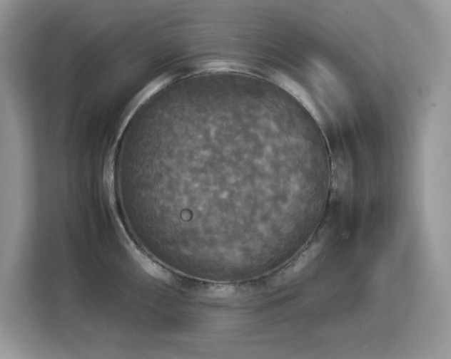 X0000113111098200908281403