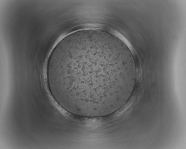 X0000113111099200908281403