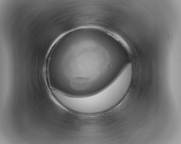 X0000113111100200908281403