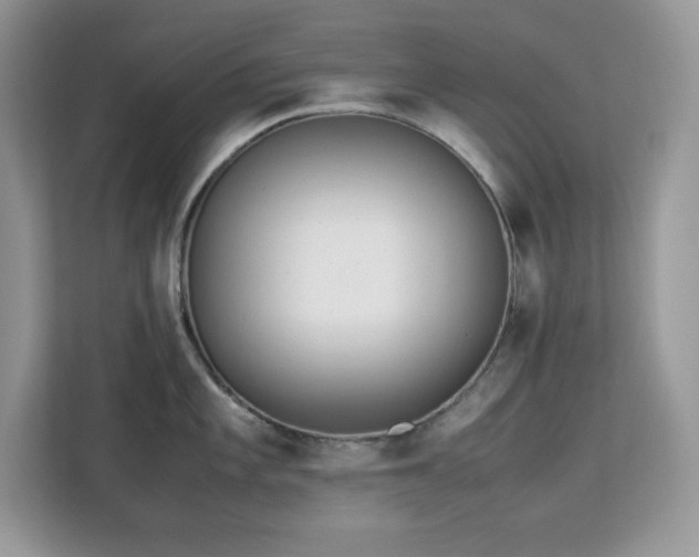 X0000113111101200908281403