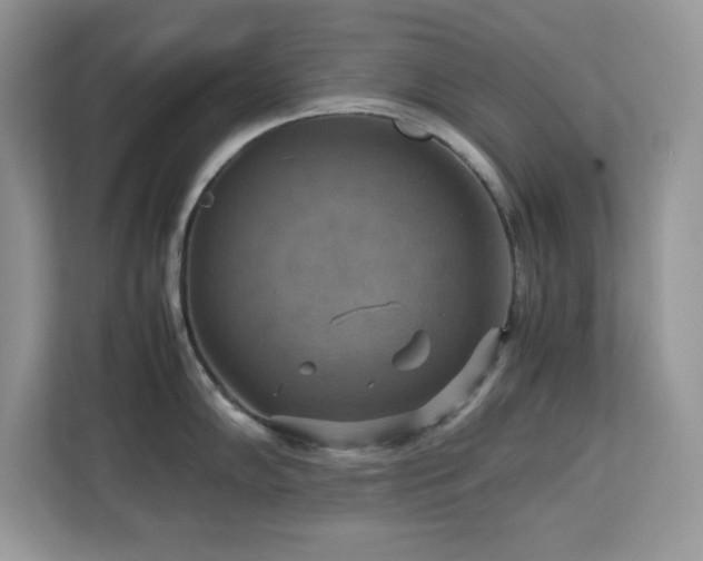 X0000113111102200908281403