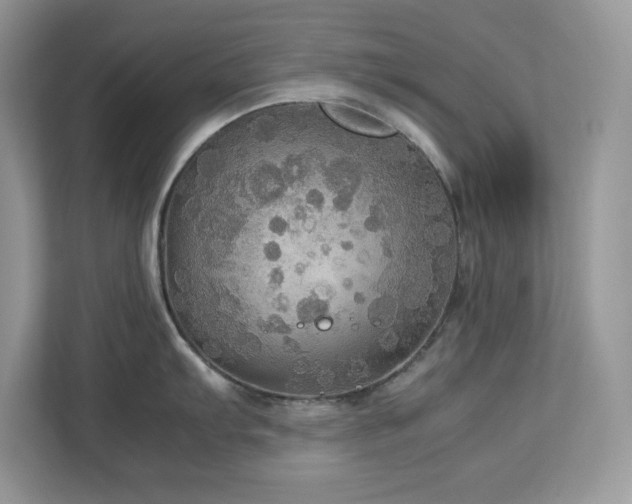 X0000113111103200908281403