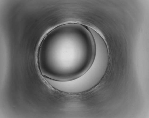 X0000113111104200908281403