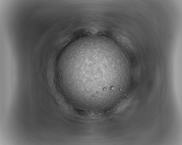 X0000113111105200908281402