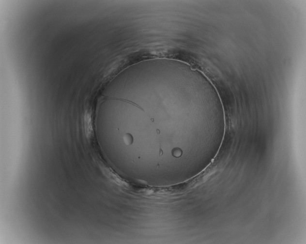 X0000113111106200908281402
