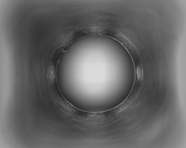 X0000113111107200908281402