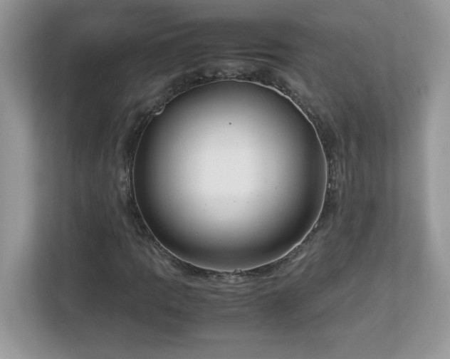 X0000113111109200908281402