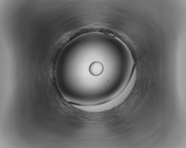 X0000113111110200908281403
