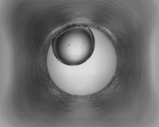 X0000113111112200908281403